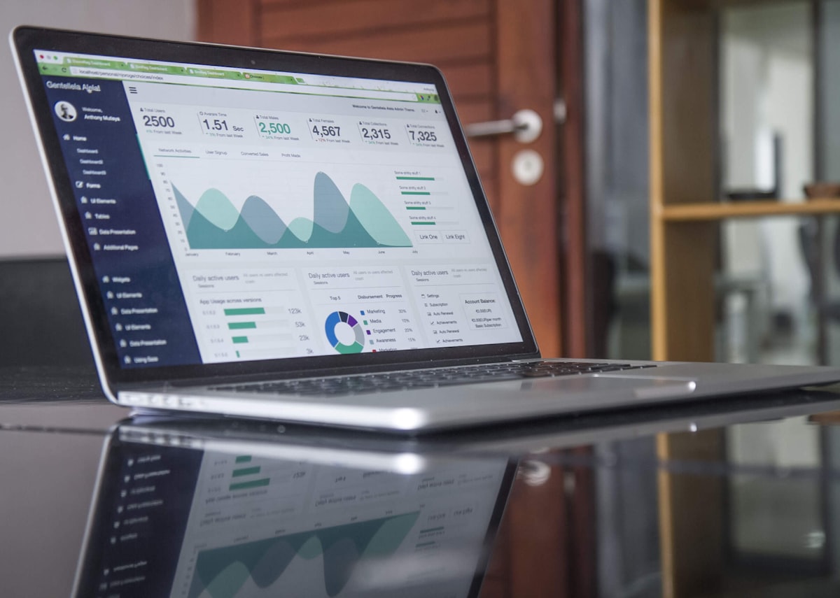 Paid advertising campaigns